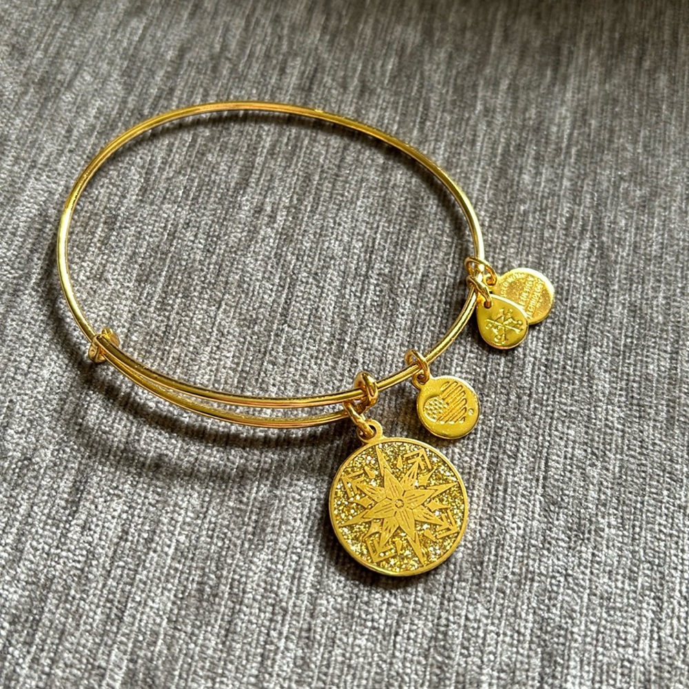 Alex and Ani bangle bracelet